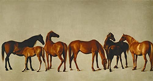 Posters et art pour décoration chambre juments George Stubbs
