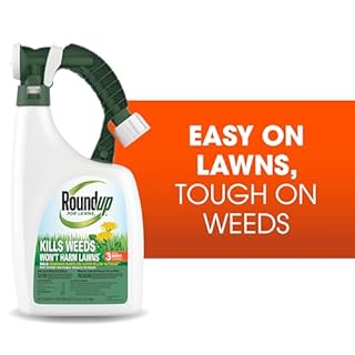 Roundup for Lawns₃ Ready-to-Spray, Tough Weed Killer for Use on Northern Grasses, 32 fl. oz.