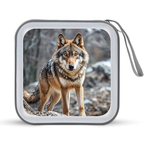 Étui pour 40 CD design moderne Texas Bluebonnets pochette rigide et compacte One Size
