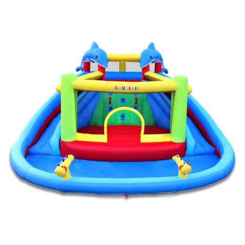 Causeair Dolphin Water Slide