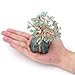 Top Plaza Chakra Healing Crystals Copper Money Tree Wrapped On Natural Green Aventurine Base Feng Shui Luck Figurine