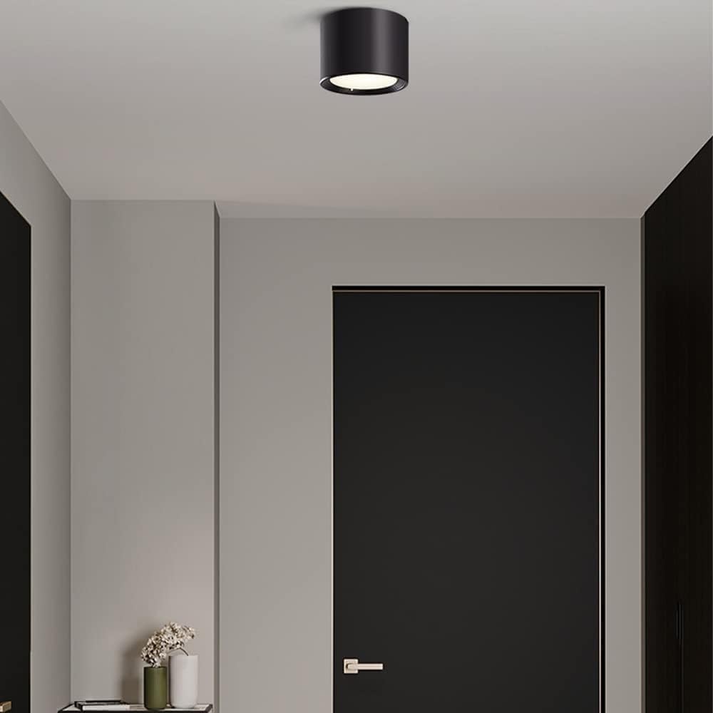 LED Round Ceiling Light, Nordic Minimalist Downlight Home Living Room Small Ceiling Lamp Close to Ceiling Lighting Fixture for Porch Balcony Aisle Corridor Cloakroom(Black,12cm)