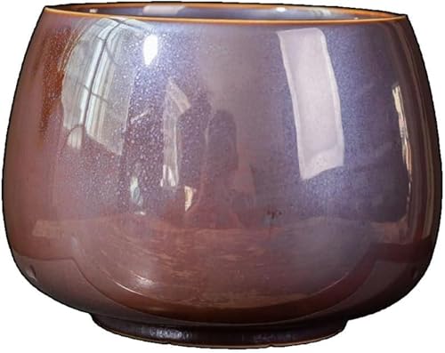 Conutoo ƒp [P[X t  Β g p H|i v[g ڂ  k   e Vv e (1500ml,uE)