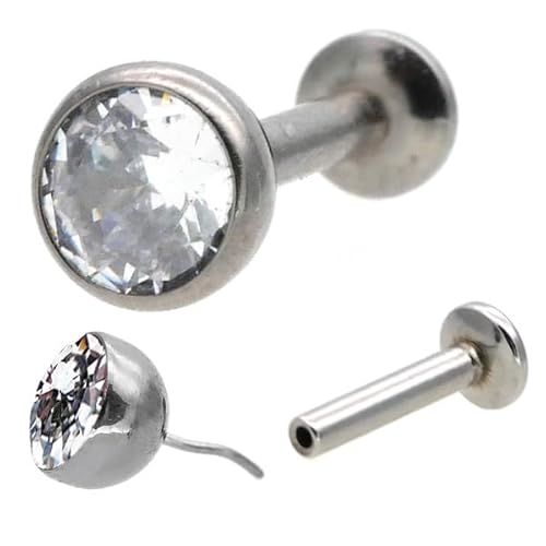 [vbVs] x[ZbgWGVZeBbNIp[ {fBsAX sAX AM[Ή Ўp LSP5