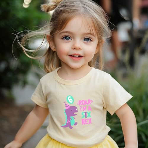 Image of Dinosaur Themed 6th Birthday Shirts for Toddler Girls Outfit 6 Year Old Six Sixth Party Shirt