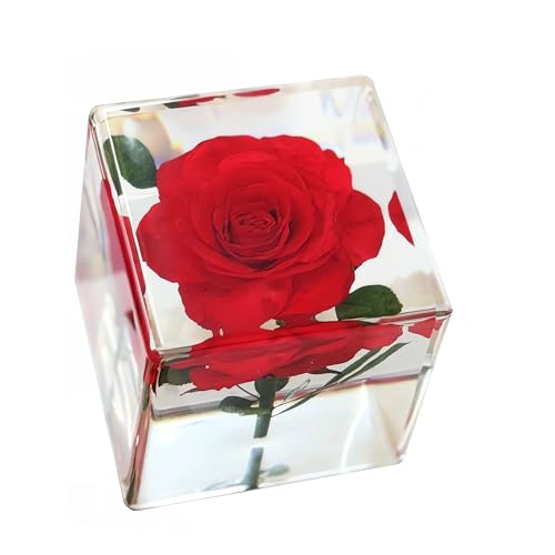 Image of Nature Plant Flower Rose Specimen in Resin Preserved, Science Educational Classroom Specimens, Clear for Closer-Look & Study. Novelty Crafts Decor Ornament, Amazing Unique Gift (Cube 1.9x1.9x1.9-inch)