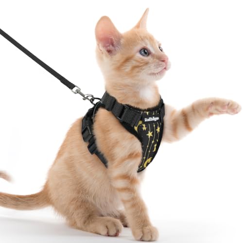 Image of rabbitgoo Cat Harness and Leash Set, Escape Proof Vest, Lunar Prowl | Soft Breathable Mesh, Easy Adjustable Fit, Snap Buckles, Sturdy Clip, Reflective Strips, for Kittens & Small Cats Walks, Xxs
