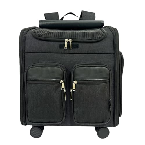 AoyhomeybgL[ bN ybgL[ LX^[t L Lp L[ J[g 3 WAY  ^ ԐÉjo[TzC[ ybgL[P[X ܂ O\Ȏԗ hCu s ʉ@ h p L (J