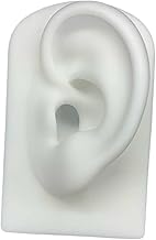 Modèle D'oreille, Oreille Modèle Prop Oreille Outil Piercing Exercice Boucle D'oreille Outil D'affichage de Goujon D'oreille, pour Outils Pédagogiques Affichage Bijoux Boucles D'oreilles , blanche