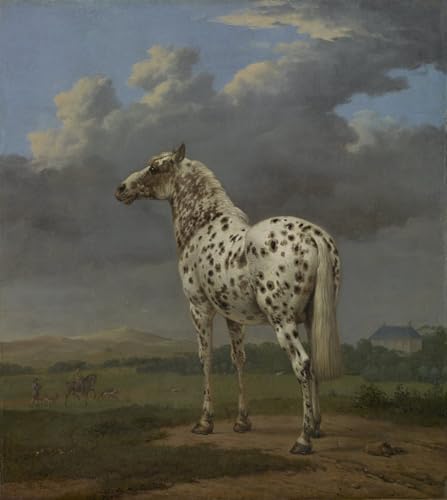 Pinturas famosas de Paulus Potter en cuadro en lienzo de 60x90cm para vestir paredes vacías