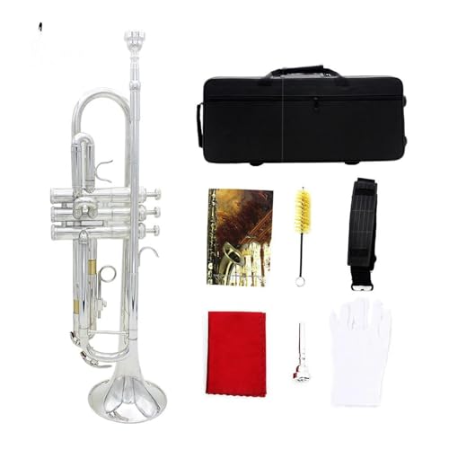 Wgybg Bb gybg^J{fBgybgZbg[{bNXANZT[v̋Ǌy B tbg(Color:3)