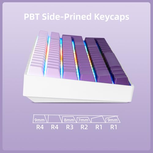 Image of ZORNHER ZH100 Wireless Mechanical Keyboard,98% Purple Creamy Keyboard with Number Pad,Full Size Gaming Keyboard,Lighted Up PBT Dipped Keycaps,KKT Red Switches