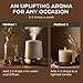 Gya Labs Cinnamon Essential Oil for Diffuser - 0.34 Fl Oz - 100% Pure Natural Cinnamon Bark Essential Oil for Skin, Hair, Lips Body & Candle Making Scent