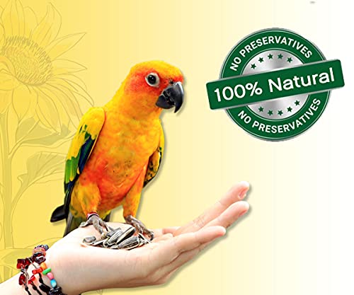 Image of BOLTZ Striped Premium Sunflower Seeds for Birds, Bird Food for Lovebirds, Cockatiels, Sun Conure, African Grey Parrot, Amazon, Macaws, Cockatoos for All Life Stages (3Kg(Pack 3))