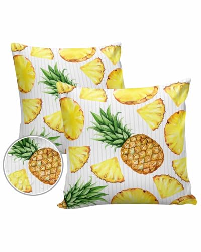 Exotic Pineapples Outdoor Pillow Covers Waterproof,All Weather Cushion Case Set of 2 Decorative Pillowcases for Sofa Couch Bed Decor Patio Furniture 18