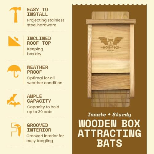 Image of BIGBATBOX Bat House for Outdoors - 1 Chamber, No Interior Paint, Cedar