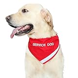 Doggie Stylz Service Dog Bandana with Reflective Strip for pet Safety at Night. Has Built in Matching Collar to Keep Bandana Secure | Metal Ring to Attach Leash | Red Small (Neck 10-16')
