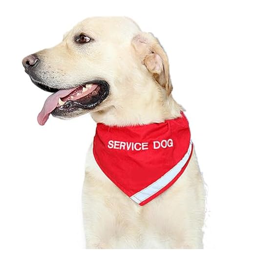 Doggie Stylz Service Dog Bandana with Reflective Strip for pet Safety at Night. Has Built in Matching Collar to Keep Bandana Secure | Metal Ring to Attach Leash | Red XS (Neck 8-12")
