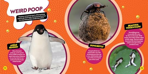 Weirdest Animals on the Planet - Image 3