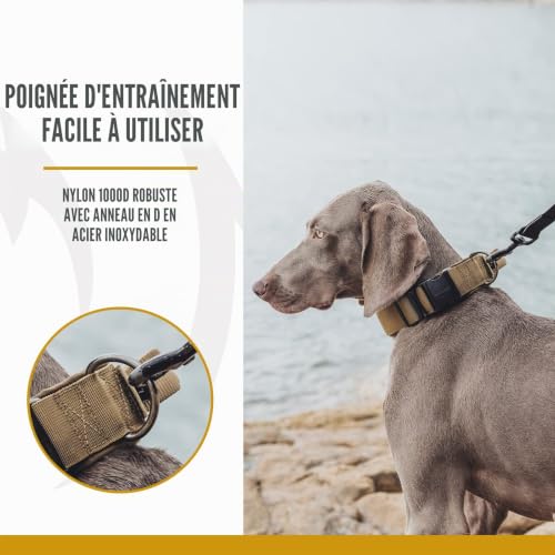 Collier pour chien OneTigris M marron idéal pour randonnée et balade - 6