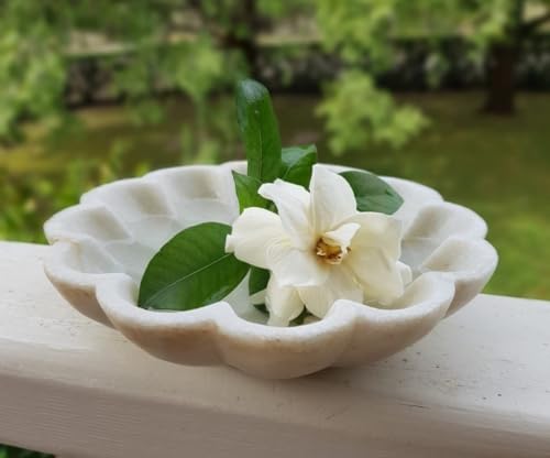 Scallop Floral Marble Decorative Bowl for Home Decor (6 Inches)/ Table Centerpiece Catchall Marble Bowl/Decorative Jewellery Dish