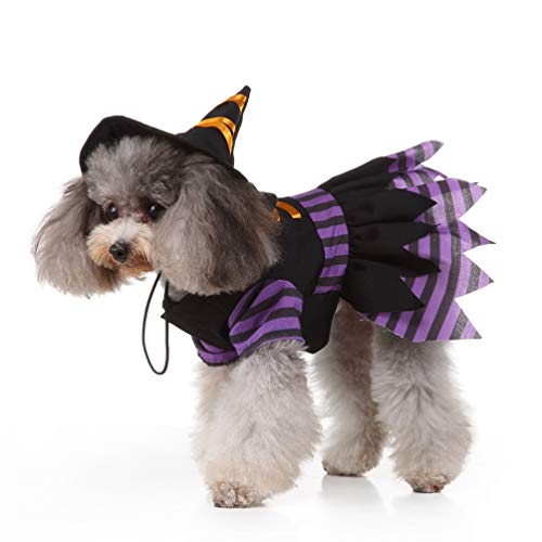 Disfraz Halloween para Perro con Diseño Creativo de Bruja miniatura 3