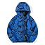 Black Blue Print