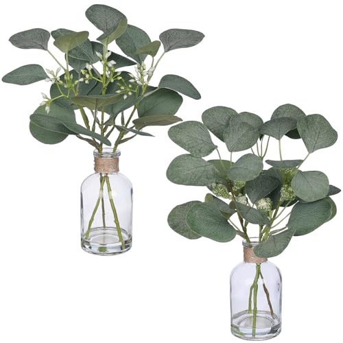 Zheart-2-Pack-Small-Fake-Plants-Eucalyptus-PottedArtificial-Eucalyptus-Stems-in-Glass-Vase-with-Faux-Water-for-Shelf-Desk-Bathroom-Farmhouse-Room-Office-Coffee-Table-Kitchen-Home-Decor-Green