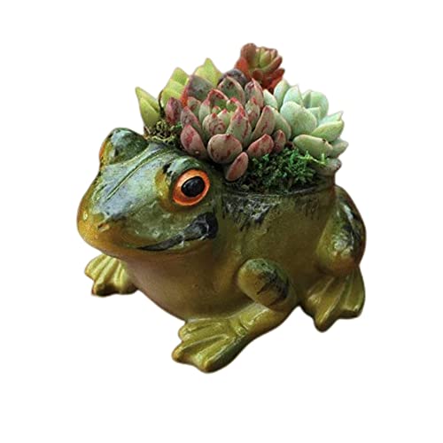 XZJMY Succulent Pots, Plant Pots for Frog Decor Small Animal Succulent Planters