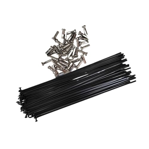 Rayon velo 14G acier inoxydable 122mm 130mm 140mm 150mm 160mm avec capuchons