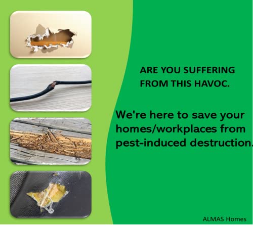 Image of Multi (10 or 5) Pack Strong Sticky Trap Pad And Boards For Multi Pests, Can Be Used Indoors At Homes And Offices Or Outdoor. Fold Into Any Shape. Non- Toxic. Eco- Friendly (23.7 X 16.8 X 0.4 cm)