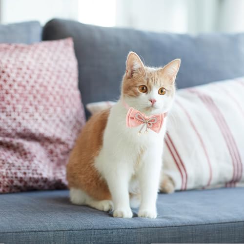 Pink Cat Collar, 4pcs Safety Buckle Kitten Collar Girl with Pearl Pendant Adjustable Cute Cat Collars for Girl Cats with Bow Fashion Comfortable Washable Removable Design by KURTOPLLY - Used condition - Image 7