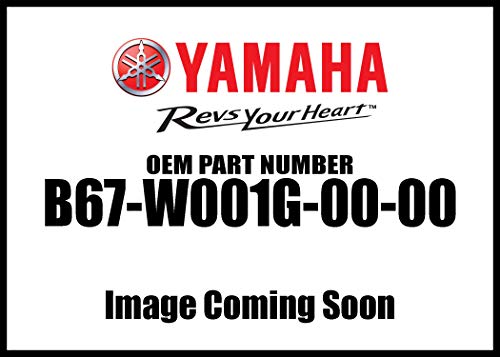 YAMAHA FZ-10 MT-10 GENUINE YAMAHA CLUTCH PLATE KIT B67-W001G-00-00