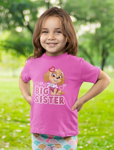 Tstars Paw Patrol Skye Big Sister Shirt Girls Big Sister Outfit Toddler Kids T-Shirt3