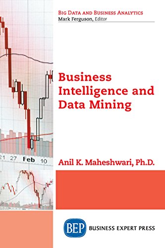 Business Intelligence and Data Mining (Big Data and Business Analytics)