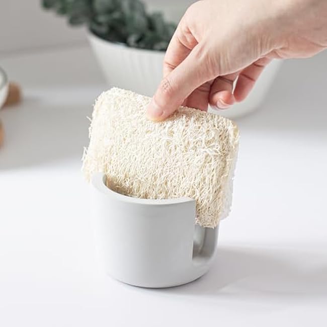 Eco-friendly Diatomite Sponge Holder