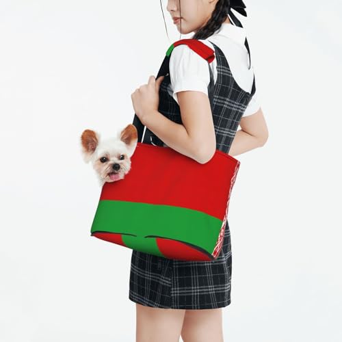 Sac chiot drapeau Biélorussie pour petits chiens et chats nomades - 3