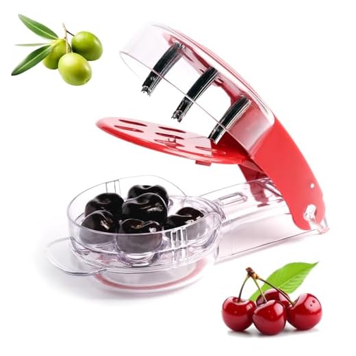 Cherry Pitter Tool Pit Remover, Olive Pitter Quick Push Pull 6 Hole Seed, Multi-Function Stainless Steel Cherry Pitters Core Remover Portable Saving Lock Design Corer Kitchen Depitter Tool - Red