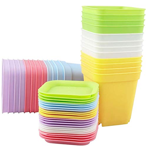 10 Vasi Per Piante In Plastica Colorata Con Sottovaso - Diametro 10 Cm - Per Cactus, Grasse E Fiori - Decorazione Casa - 4