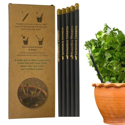 Eco Friendly Plantable Seed Pencils (10 Count)