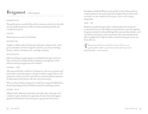 Callisto BLACK & WHITE ILLUSTRATIONS Essential Oils For Beginners: The Guide To Get Started thumb #2