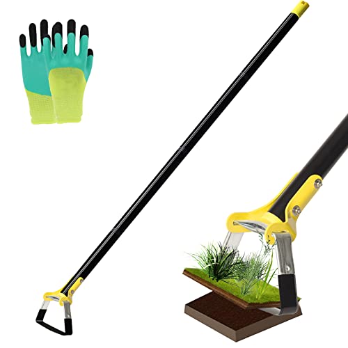 Best Tool For Removing Stubborn Shrub Roots Tips On Choosing The Right One