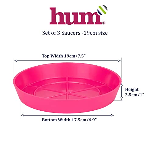 Hum Flowerpots Pack of 3 Saucers, Sturdy Drip Trays, Choice of Size and Colour, for Outdoor/Indoor Plant Pots - 19cm Pink - Image 2