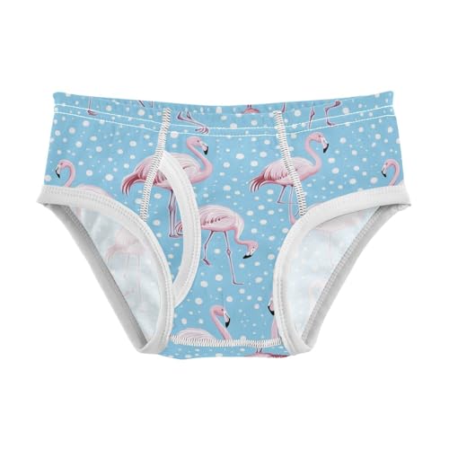 Wusikd Flamingo Cute Boys' Underwear Cotton Cartoon Blue Boys Briefs Soft Toddler Underwear 2T