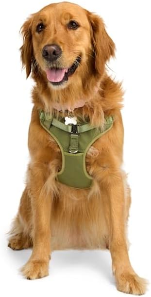 EveryYay by Petco Step in Dog Harness Navy Medium