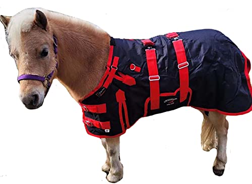 Image of Challenger 1200D Miniature Weanling Donkey Pony Horse Foal Winter Blanket Red BLK 51946