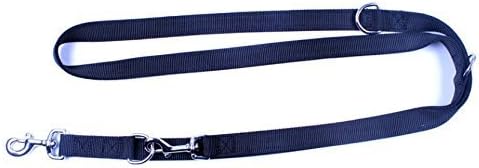 6+ Multi-Functional Dog Leash (Set of Two)