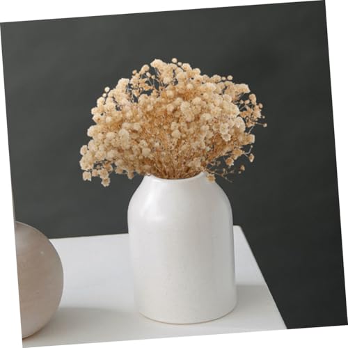 Bouquets de flores secas mini Gypsophila 6 piezas miniatura 3