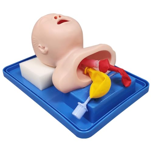 Mannequin d'intubation enfant AMITD en PVC durable de qualité médicale supérieure - 7
