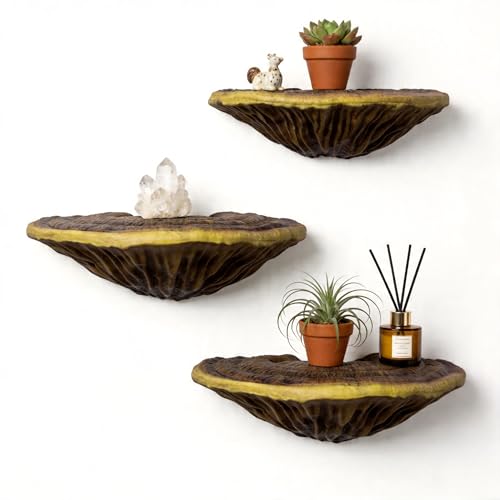 Suohanfei 3pcs Cute Mushroom Shelves Hanging Whimsical Cottage Core Home Wall Decor Leopard Gecko Tank Accessories (Large)